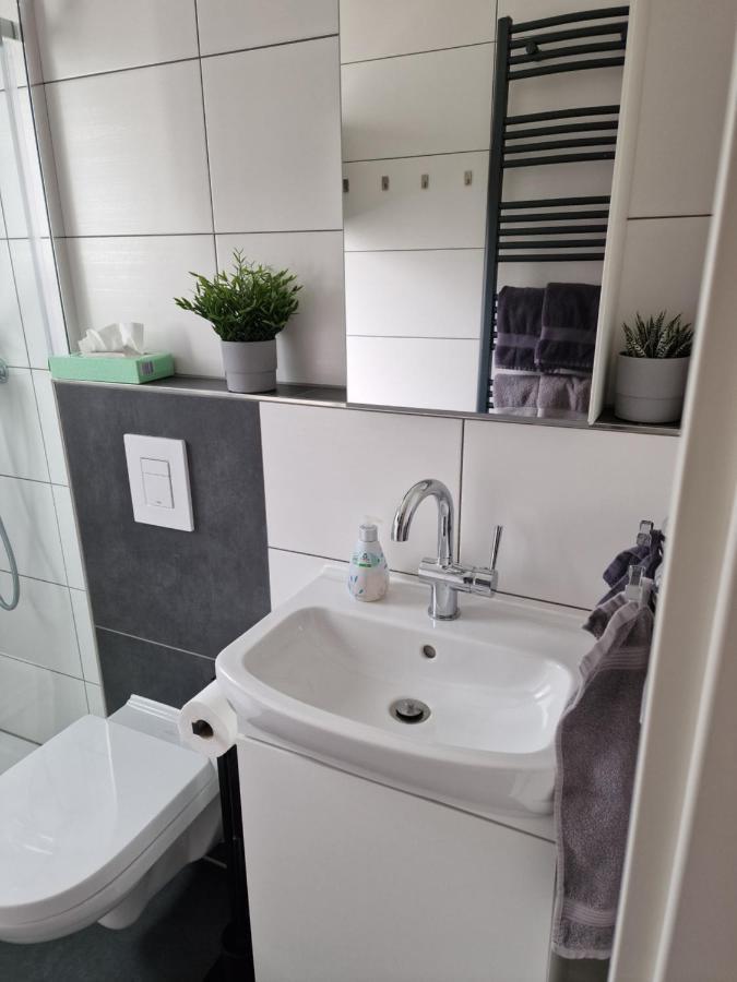 Ferienhaus Steigrhein Filsen Zewnętrze zdjęcie